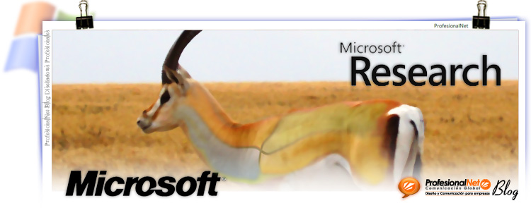 Microsoft: Gazelle será el navegador sustituto de Internet Explorer.