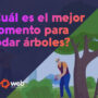 ¿Cuál es el mejor momento para podar tus árboles?