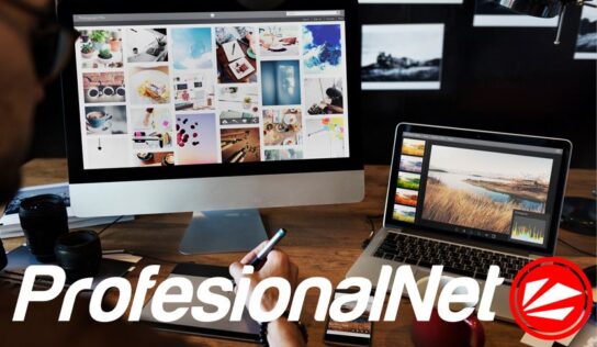 El Diseño web en 2024: nuevas tendencias y desafíos, por ProfesionalNet