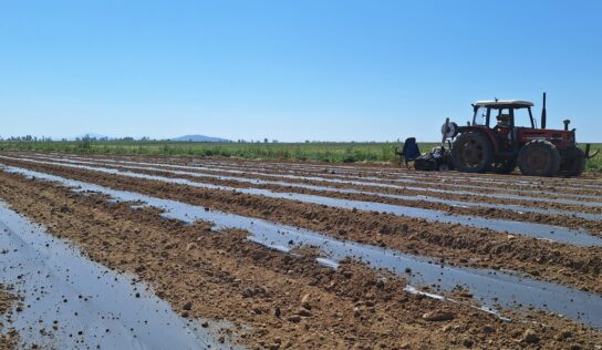 El campo se apunta a los plásticos BIO: la demanda se dispara en las últimas campañas