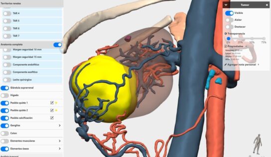 La integración de la IA en modelos 3D permitirá detectar anomalías congénitas en niños, según expertos del Congreso de la SECP