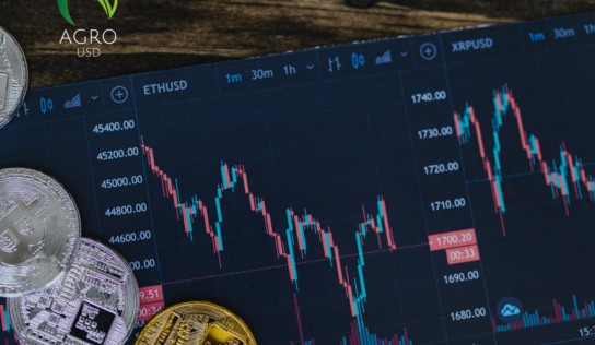 AgroUSD se presenta como una nueva plataforma de pagos digitales basada en blockchain