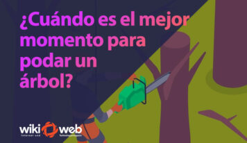 ¿Cuándo es el mejor momento para podar un árbol? Consejos según la temporada