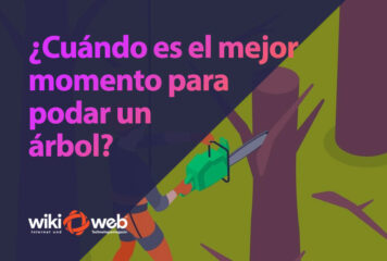 ¿Cuándo es el mejor momento para podar un árbol? Consejos según la temporada