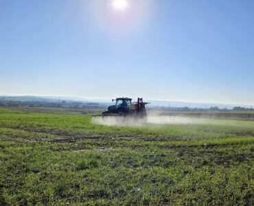 LIFE Innocereal EU mejora la producción de cereal un 17,2% y reduce la huella de carbono un 6,6%