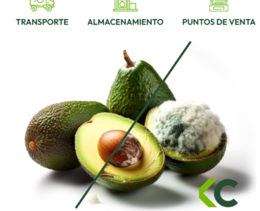 La tecnología española de KeepCool se alinea con Europa para frenar el desperdicio alimentario