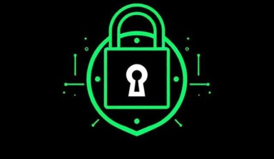 Finnovant y Storage Chain lanzan PhēnixLoc Data Manager, seguridad y almacenamiento descentralizado asequibles