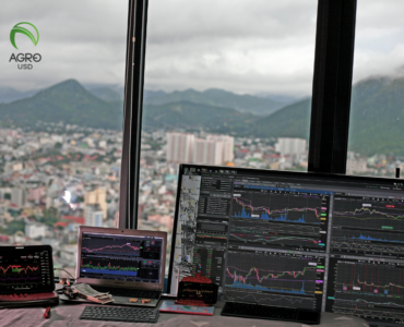 AgroUSD impulsa la inclusión financiera con tecnología blockchain