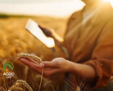 AgroUSD impulsa autonomía financiera en el campo con tecnología diseñada desde la producción