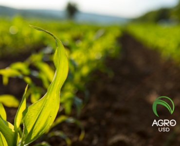 AgroUSD: la stablecoin respaldada por el campo que transforma la inclusión financiera rural