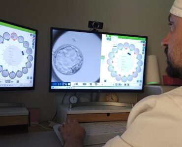 Un modelo de IA prevé con acierto del 82% el desarrollo de embriones con técnicas de reproducción asistida