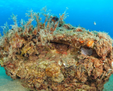 La Fundación Ona Futura cumple 5 años con el objetivo de invertir 5 millones hasta 2030 e iniciar su internacionalización