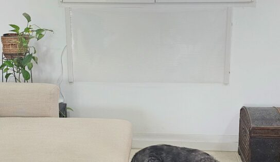 Lanzan un radiador ‘made in Murcia’ que ahorra un 70% en electricidad