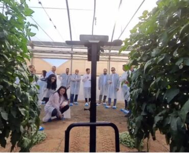 Cajamar Innova Agrotech lanza tres nuevos Retos Tecnológicos para impulsar la innovación en el sector agroalimentario