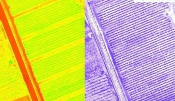Un novedoso proyecto impulsa la digitalización del ciclo productivo de las manzanas de sidra asturiana y vasca mediante IA y tecnologías de teledetección