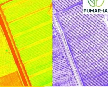 Un novedoso proyecto impulsa la digitalización del ciclo productivo de las manzanas de sidra asturiana y vasca mediante IA y tecnologías de teledetección