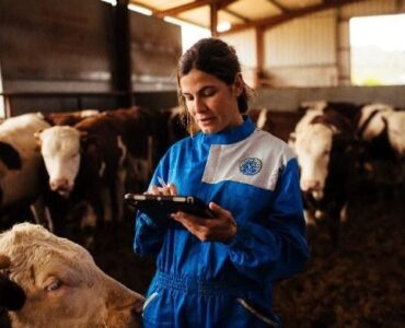 Provacuno lanza una aplicación web para medir la huella de carbono del vacuno de carne en España