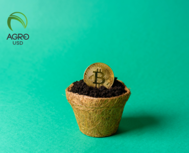 AGROUSD se consolida como opción estable para operaciones digitales en el ecosistema agro