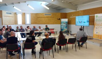 CLIMSOSTRIGO refuerza en el campo la innovación en trigo panificable frente al cambio climático