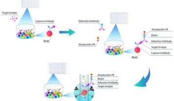 La tecnología Multiplex Assay de Cloud-Clone facilita el análisis simultáneo de biomarcadores en investigación de precisión