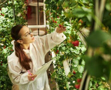 Eatable Adventures lanza Raíces para cerrar la brecha de inversión en startups hispanohablantes
